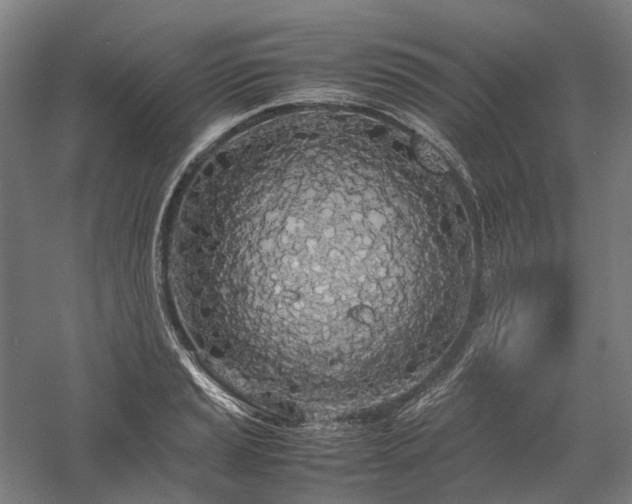X0000058111037200509231021