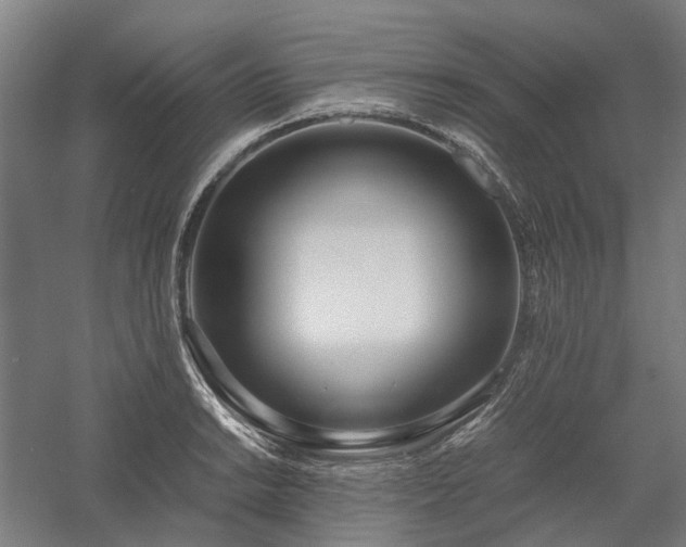 X0000058111038200509231021