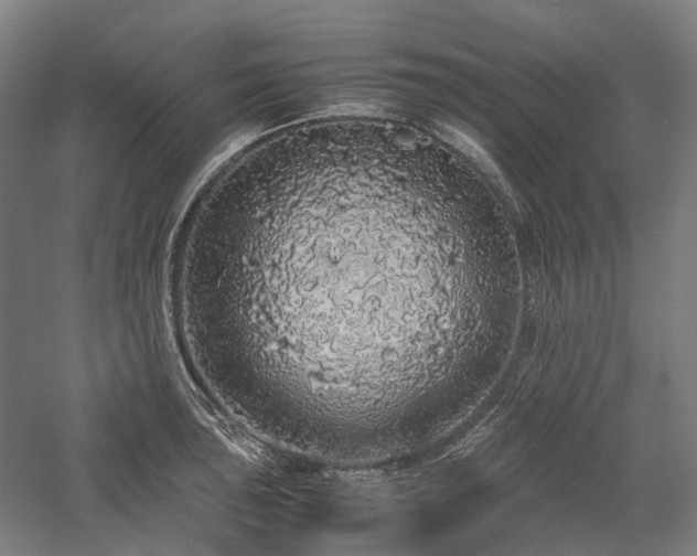 X0000058111043200509231021