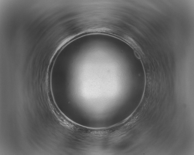 X0000058111044200509231021