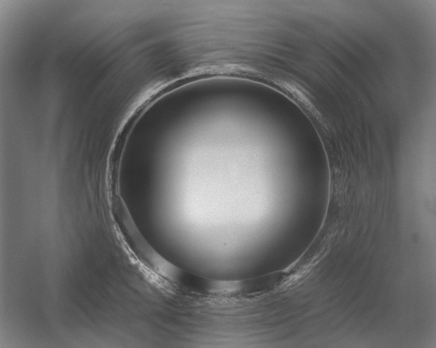 X0000058111046200509231021