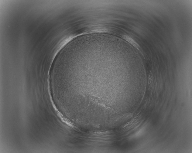 X0000058111047200509231021