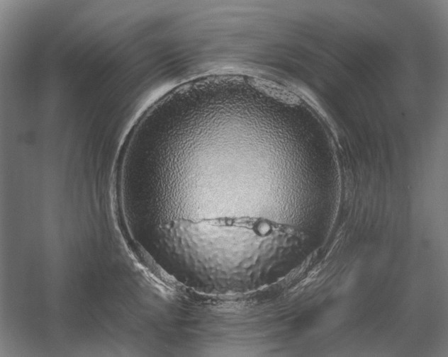 X0000058111048200509231021