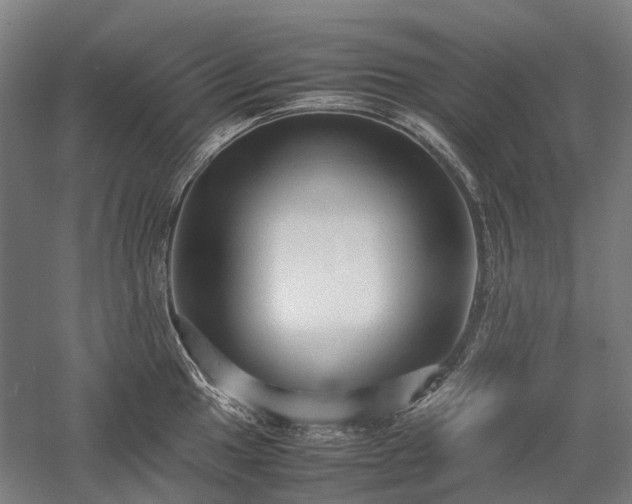 X0000058111049200509231021