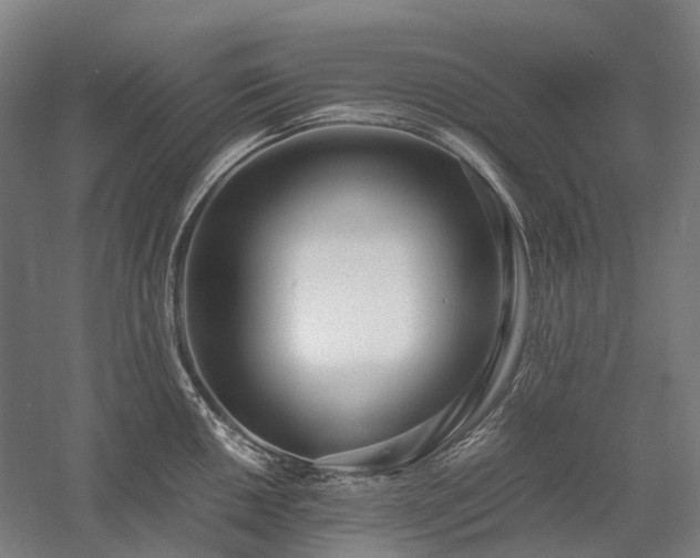 X0000058111050200509231021