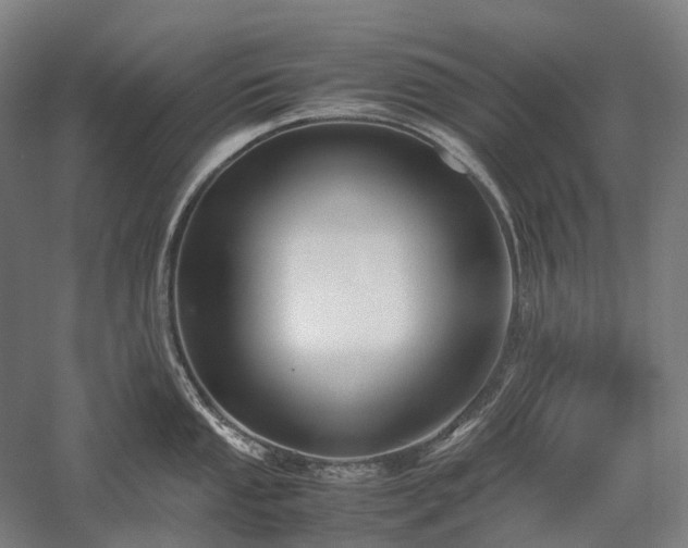 X0000058111053200509231021