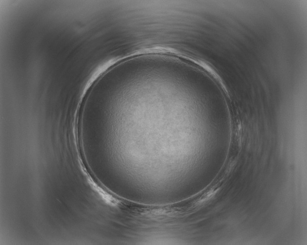X0000058111054200509231021