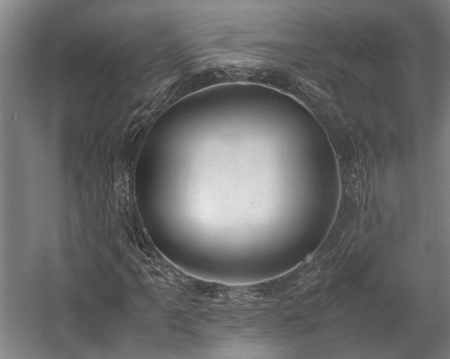 X0000058111061200509231020