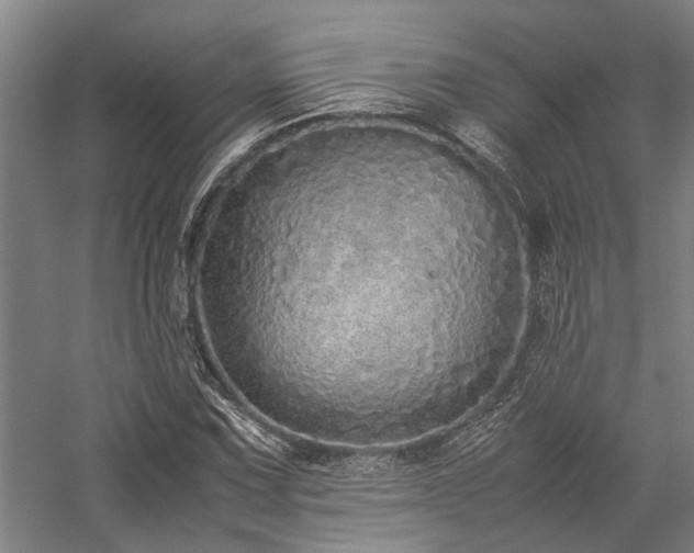 X0000058111067200509231020