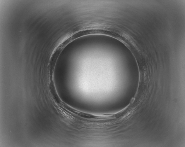 X0000058111069200509231020