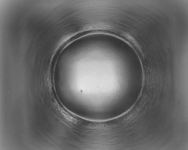 X0000058111072200509231020