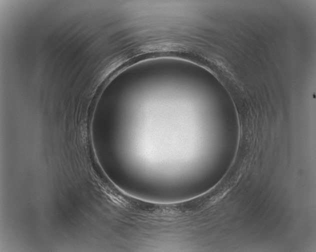 X0000058111073200509231020