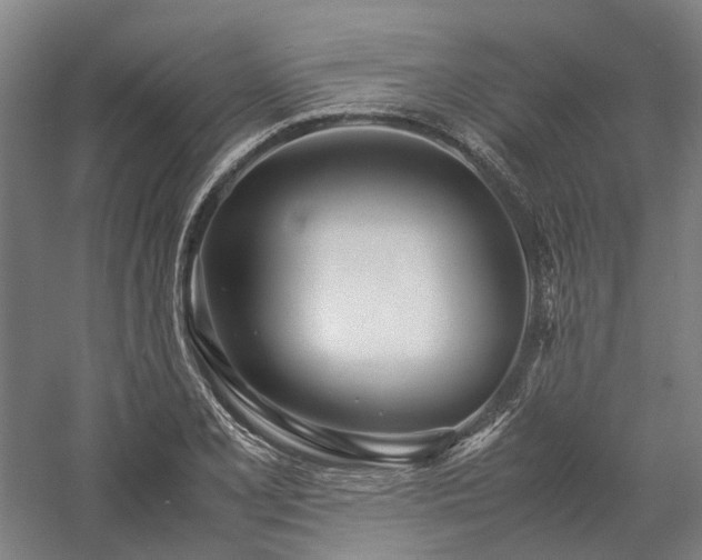 X0000058111077200509231020