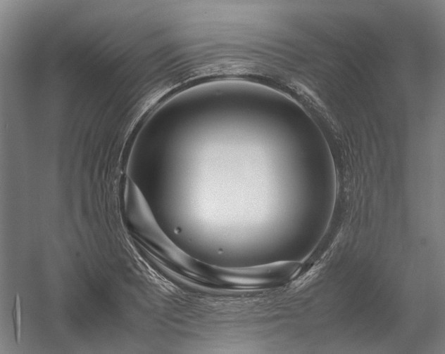 X0000058111081200509231020