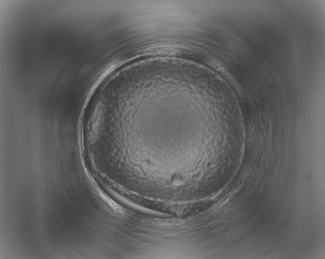 X0000058111083200509231020