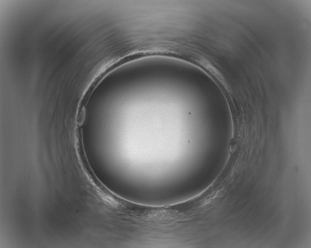 X0000058111093200509231019