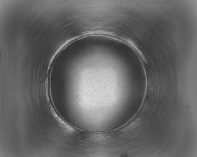 X0000058111100200509231019