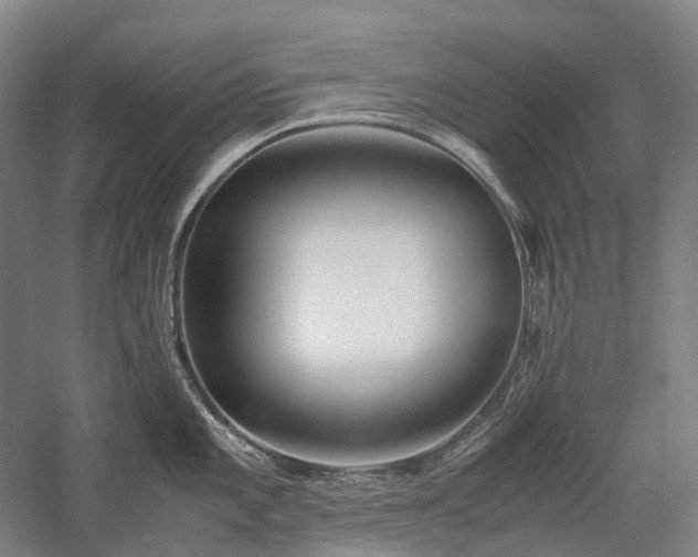 X0000058111101200509231019