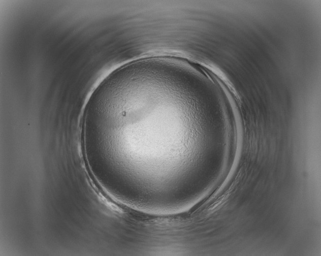 X0000058111102200509231019