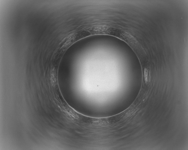 X0000058111107200509231018