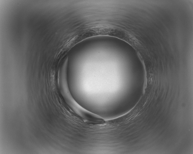 X0000058111108200509231018