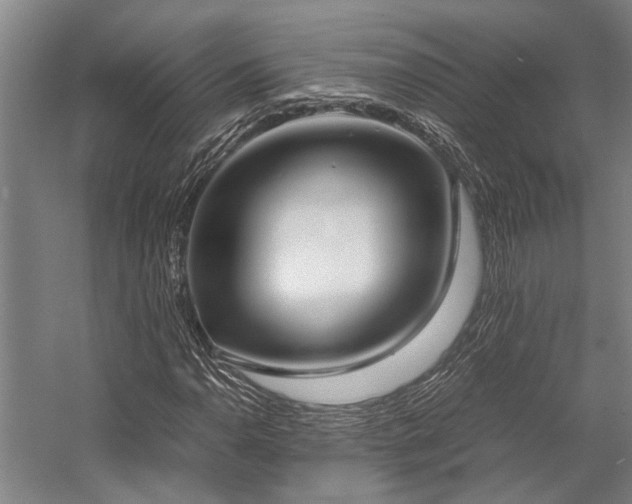 X0000058111110200509231019