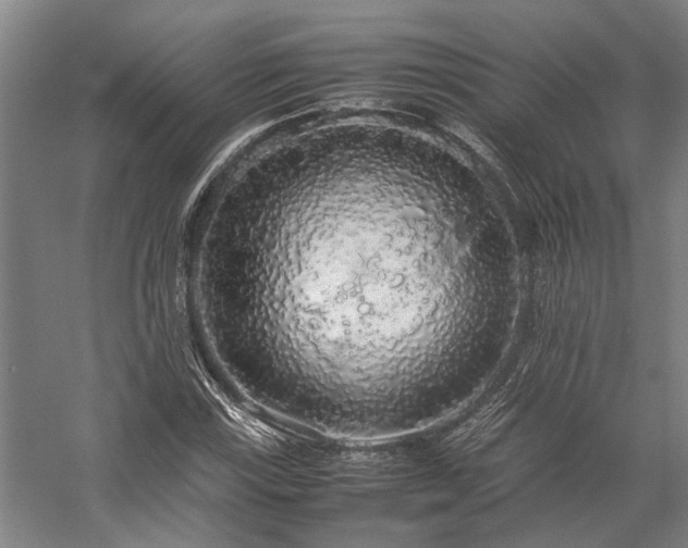 X0000058111115200509231019