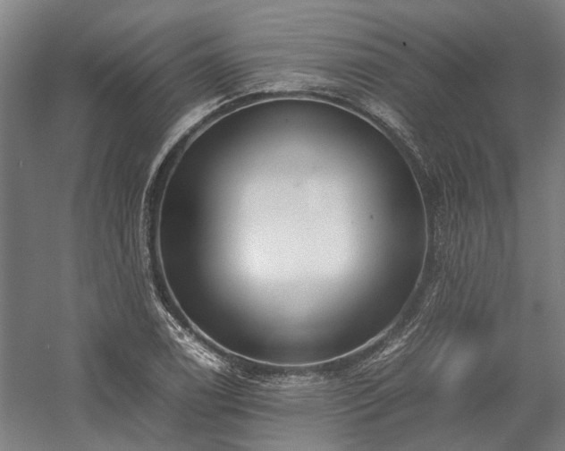 X0000058111122200509231019
