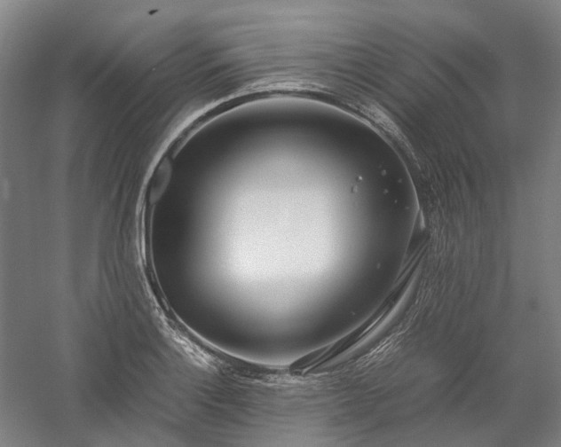 X0000058111132200509231019