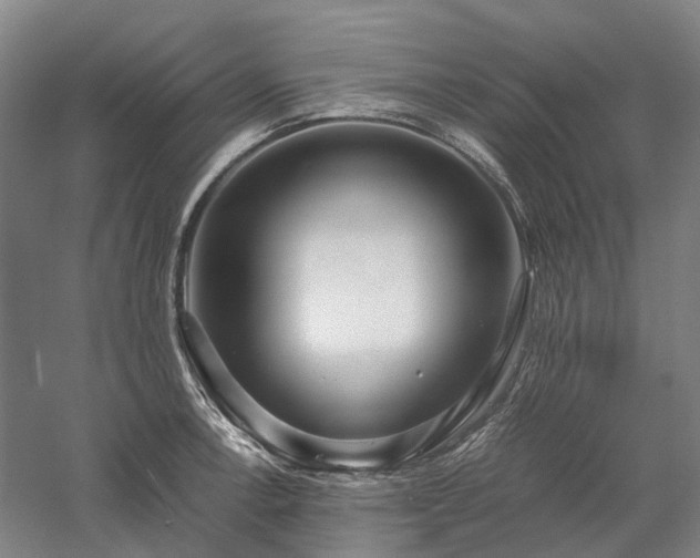 X0000058111138200509231019