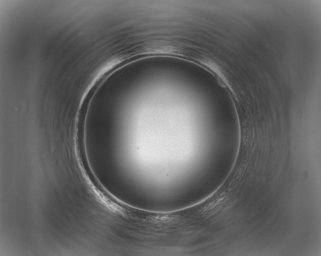 X0000058111139200509231019