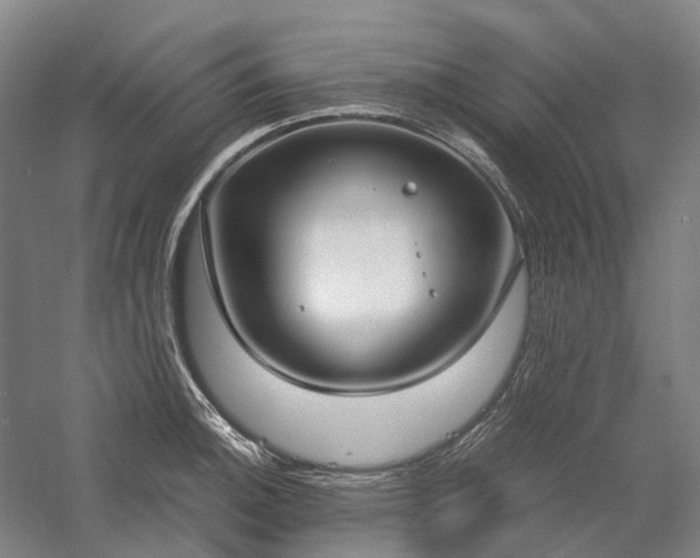 X0000058111140200509231019