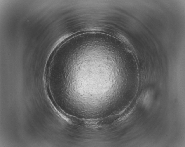 X0000058111141200509231019
