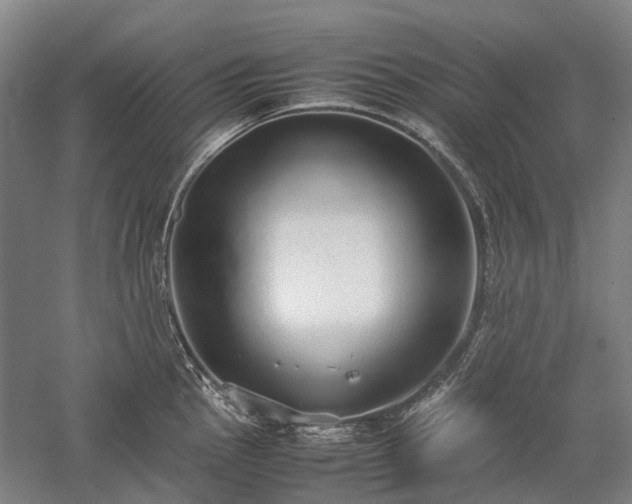 X0000058111145200509231019