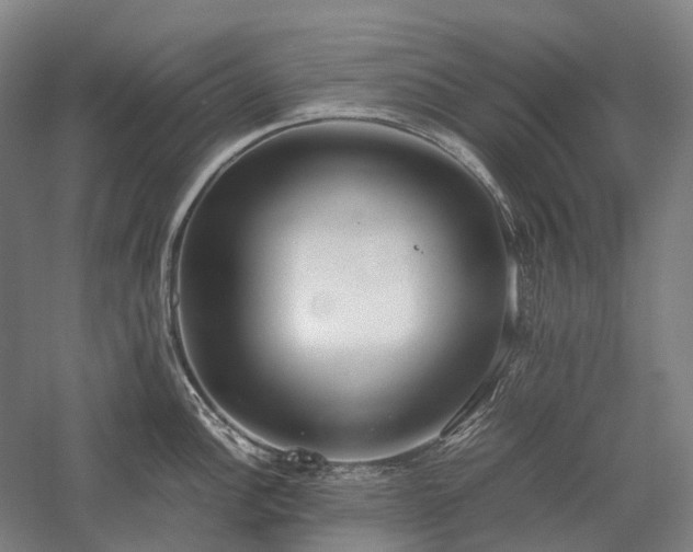 X0000058111148200509231019