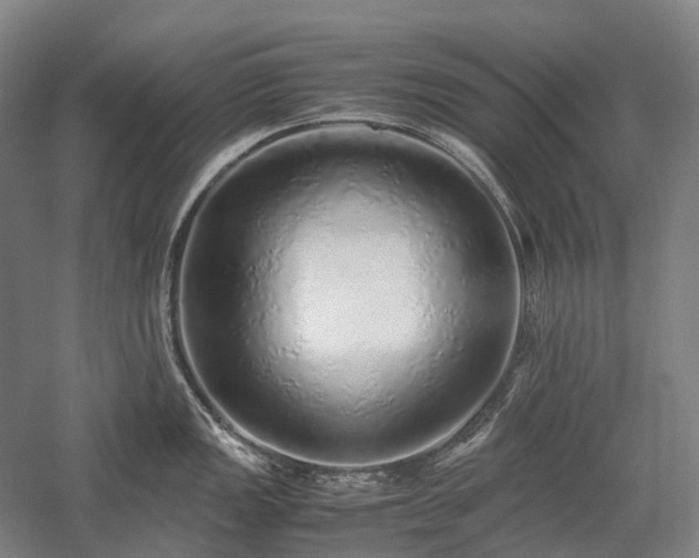X0000058111149200509231019