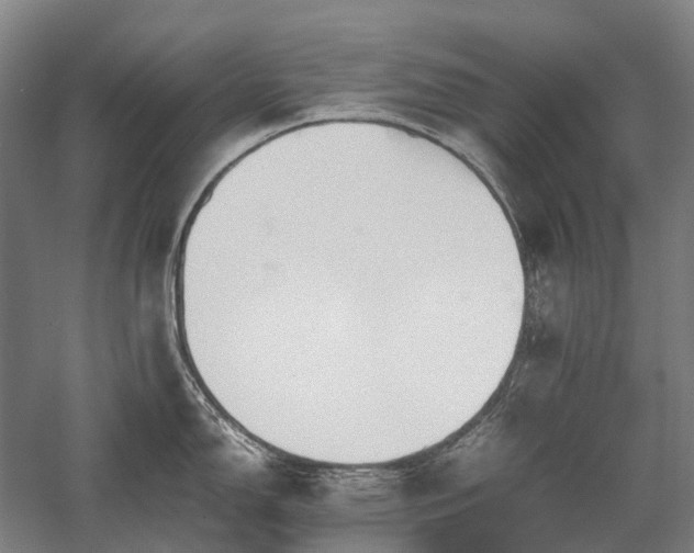 X0000058111150200509231019