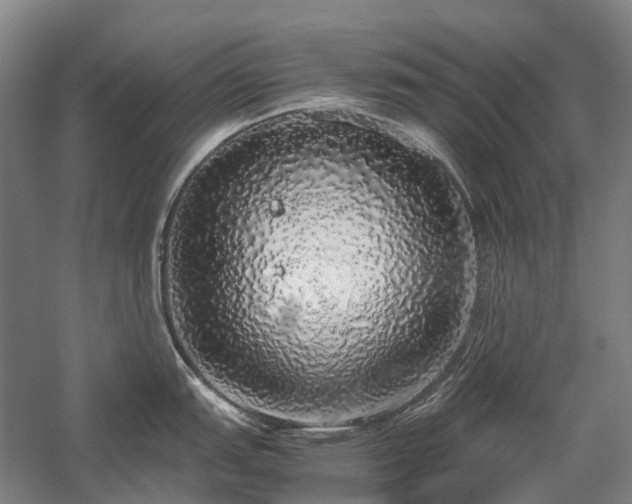 X0000058111151200509231019