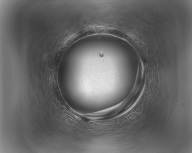 X0000058111157200509231018