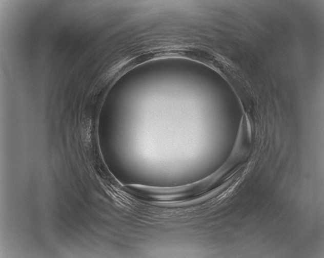 X0000058111161200509231018