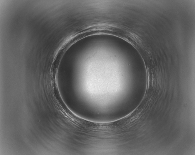 X0000058111164200509231018