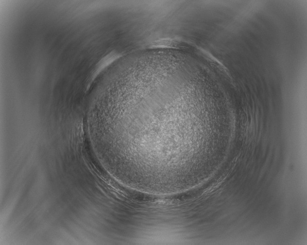 X0000058111166200509231018