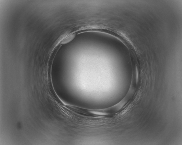 X0000058111173200509231018