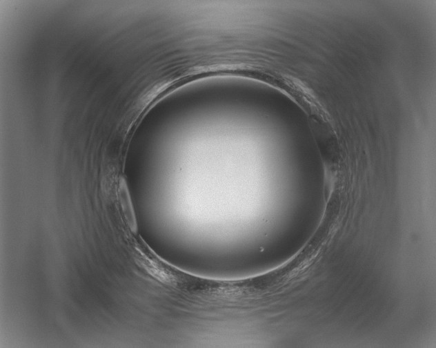 X0000058111177200509231018