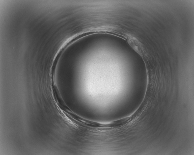 X0000058111184200509231018
