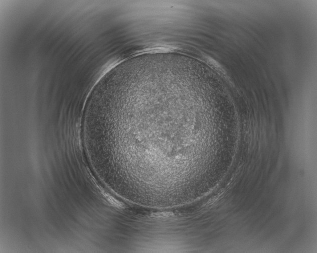 X0000058111186200509231018