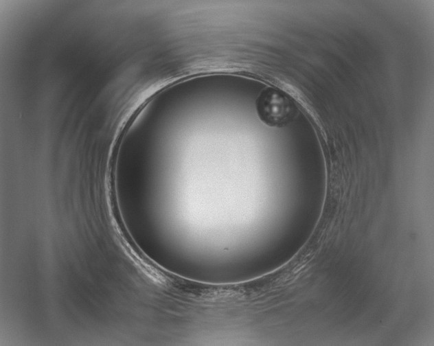 X0000058111187200509231018