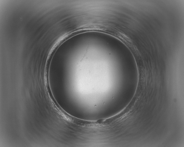 X0000058111188200509231018