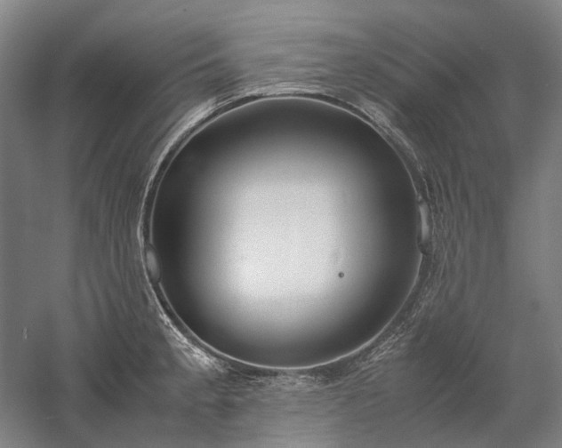 X0000058111189200509231018