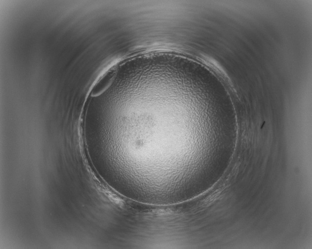 X0000058111190200509231018